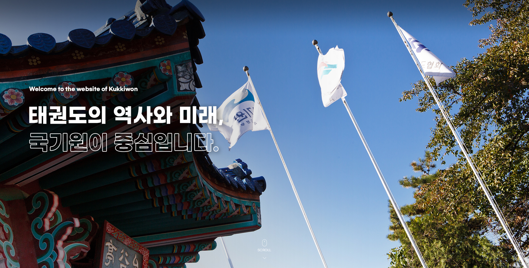welcome to the website of kukkiwon / 태권도의 역사와 미래, 국기원이 중심입니다.
