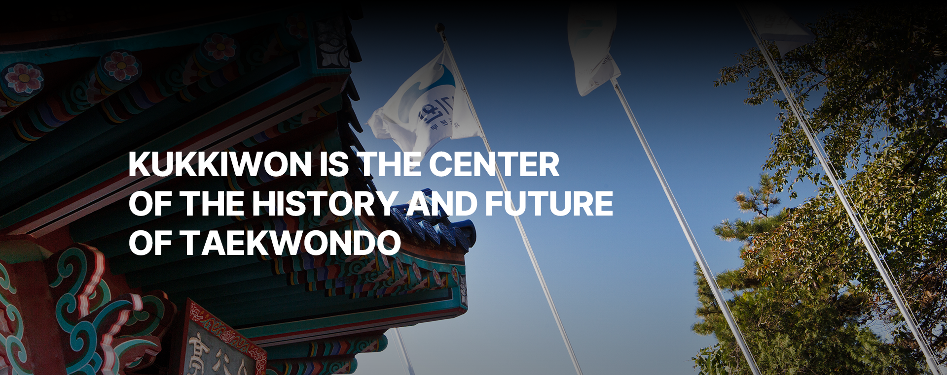 상단이미지2 배너이미지