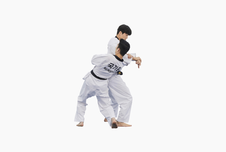 겨루기 꺾기 사진